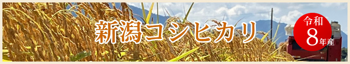 令和8年産 新潟コシヒカリ[新米] 