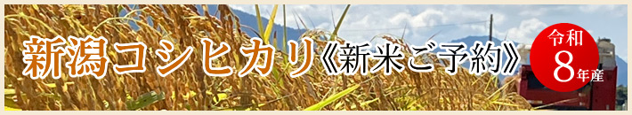 令和8年産 新潟コシヒカリ[新米予約] 