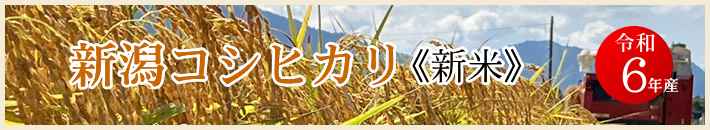 令和6年産  新米　新潟コシヒカリ