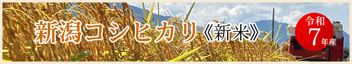 令和7年産 新米 新潟コシヒカリ 